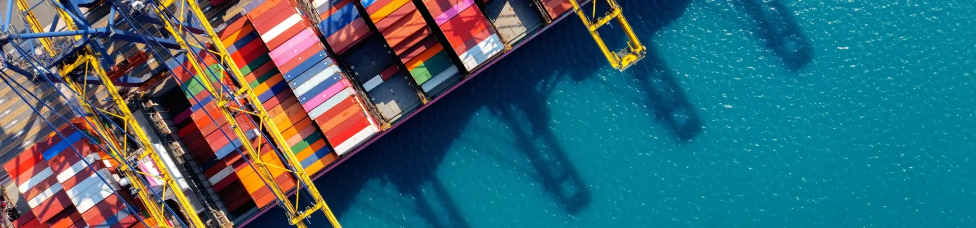 Free Investigation hero img